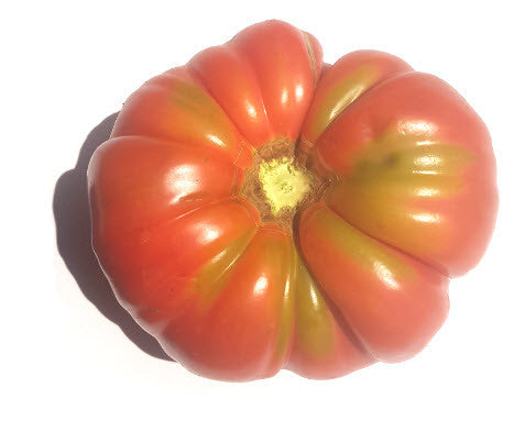Watermelon Beefsteak Tomato
