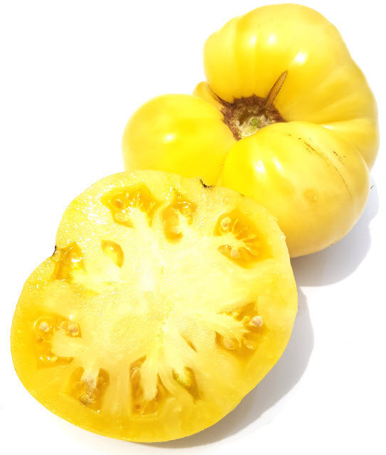 White Tomesol Tomato