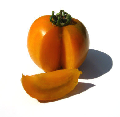 Woodle Orange Tomato