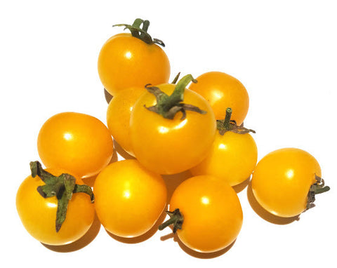 Yellow Pygmy Tomato