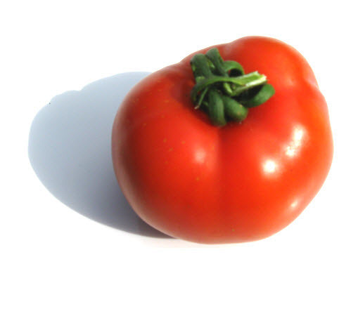 Long Keeper Tomato