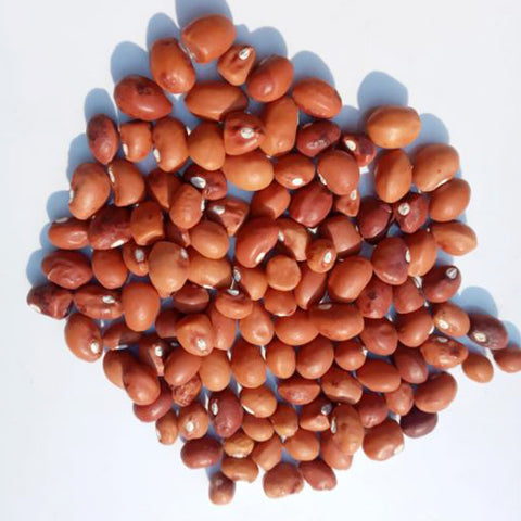 Bambara Ground Nuts - Red
