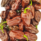 Habanero Chocolate   Chili