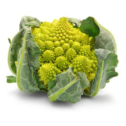 Romanesco Broccoli