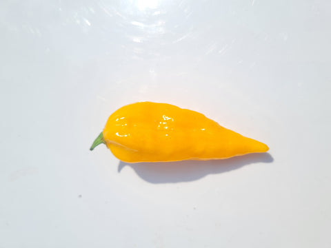 Fatalii Yellow   Chili