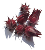 Roselle: Thai Red