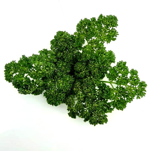 Parsley Herb: Moss Curled