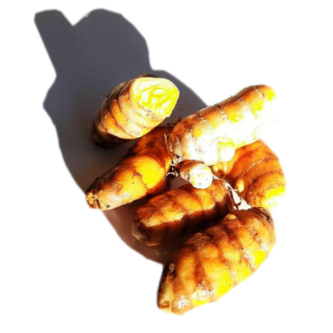 Turmeric
