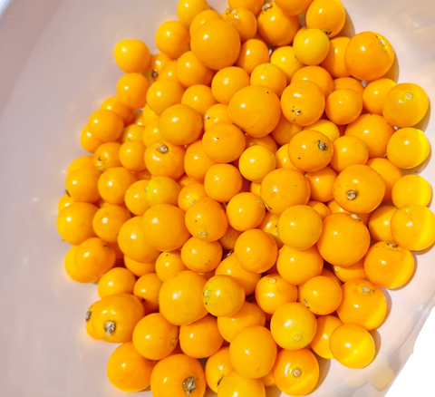 Cape Gooseberries